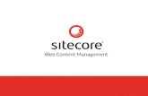 Bis partner day - Sitecore presentation