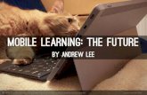Mobile Learning: the Future