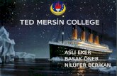 Ted Mersin College 6th Grades Slide