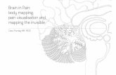 Brain in pain: body mapping, pain visualisation and mapping the invisible.