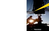 Global Oil & Gas Tax Guide 2010