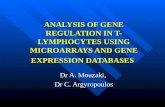 ANALYSIS OF GENE REGULATION IN T-LYMPHOCYTES USING MICROARRAYS AND GENE EXPRESSION DATABASES