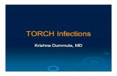 TORCH Infections