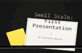 Small scale first presentation