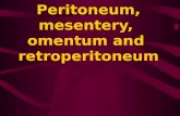 Peritoneum, Mesentery Omentum, RP