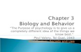 Psychology ch. 3 notes bio & behavior