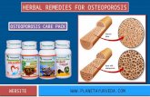 Natural Treatment for Osteoporosis with Herbal Remedies