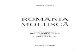 Romania Molusca,Tipar