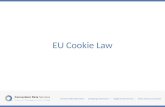 EU Cookie Law Examples at Conversion Thursday Belfast
