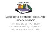 Descriptive Strategies Research: Survey Analysis