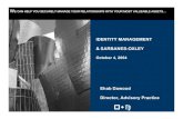 E12 Sox And Identity Management