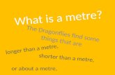 What is a metre?