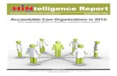 Accountable Care Organizations in 2013