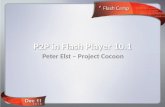P2P with Flash Player 10.1