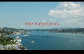 The bosphorus