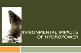 Environmental impacts of hydroelectric power