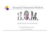 H.O.M. Presentation For Linked In