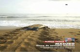 Macuro: Tierra de tortugas marinas. Clemente Balladares. Revista Rio Verde.