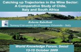 Catching up trajectories in the wine sector: Chile, Italy, South Africa