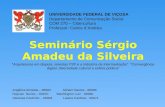 Seminário Sérgio Amadeu da Silveira