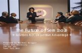 Seminole Solutions Plan Presentation