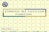 Curriculum Frobeliano