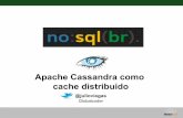Avaliando o Apache Cassandra como cache distribuido no SPC Brasil - NoSQLBR