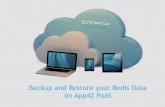 Backup and Restore your Redis Data on App42 PaaS