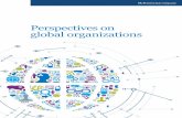 Perspectives on global_organizations