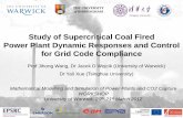 Wang Workshop on Modelling and Simulation of Coal-fired Power Generation and CCS Process