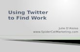 Twitter for Job Seekers SpiderCat Marketing