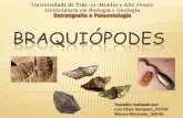 Braquiópodes, Paleontologia. Biologia, Geologia