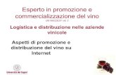 Promozione del vino nel web 2.0