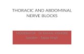 Thoracic and abdominal nerve blocks