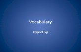 Hypo Vocabulary