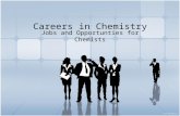 Careers in chemistry
