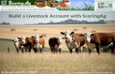 Scoring ag livestock account set up
