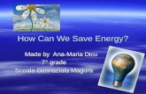 How Can We Save Energy? - by Ana Maria Dicu