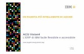 2013 ACG Vision4   l'erp di ibm facile flessibile e accessibile