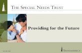 The Special Needs Trust