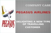 Case study on pegasus airlines