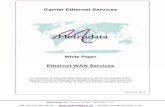 White Paper: IP VPN and Ethernet WAN Services