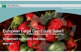 European large cap equity select   citywire zurich - march 2011