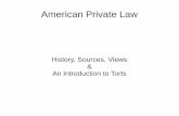 American Private Law, Introduction to Torts