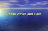 Naturalists at Large: Marine waves tides