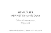 [Hackday] Мастер-класс IE9 и Dynamic Data