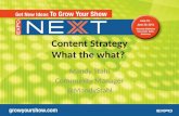 Content Strategy: What the what?