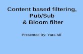 Content based filtering, pub   sub, bloom filters
