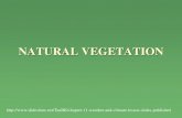 Chapter 12 Natural Vegetation