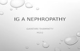 Ig a nephropathy